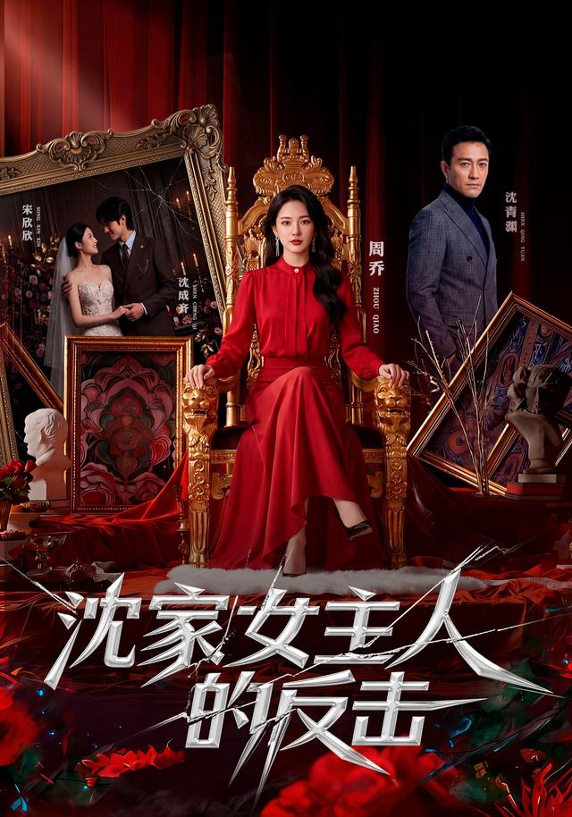 沈家女主人的反击封面