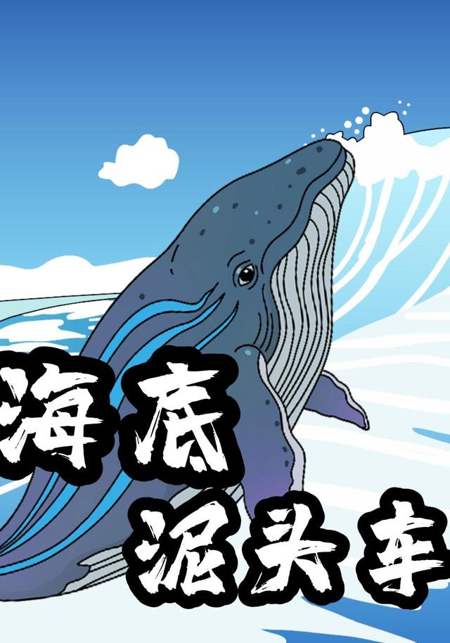 海底泥头车封面图