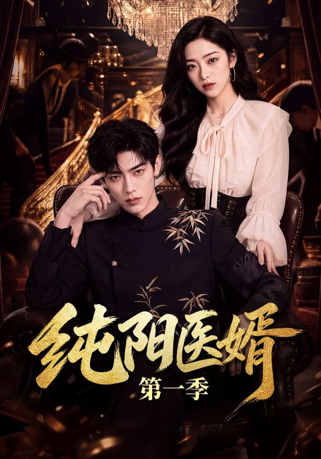 纯阳医婿第一季