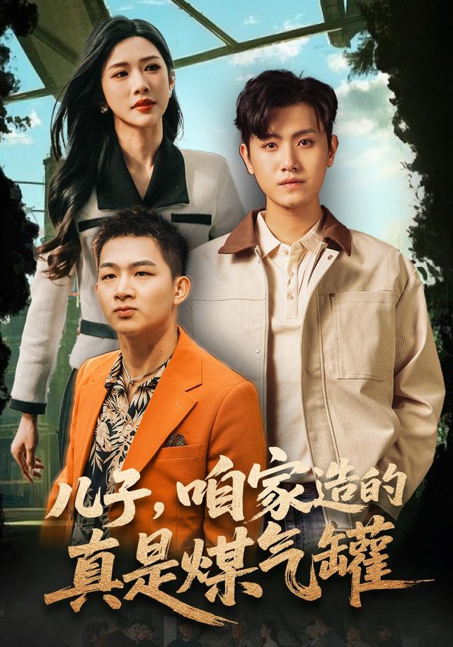 儿子，咱家造的真是煤气罐封面图