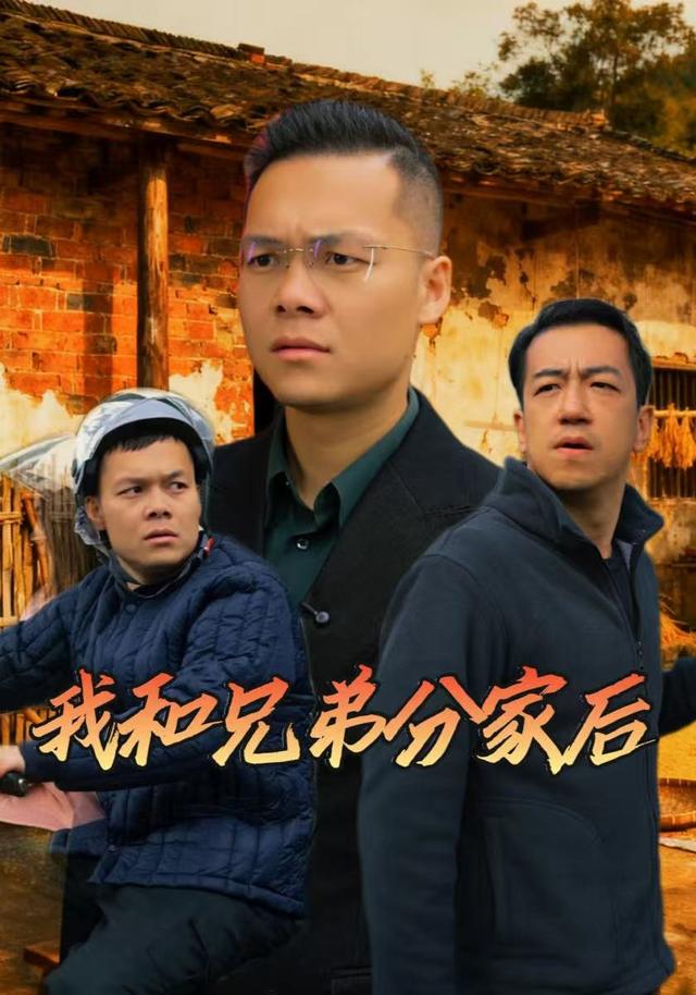 我和兄弟分家后封面图