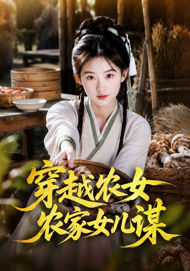 穿越农女农家女儿谋