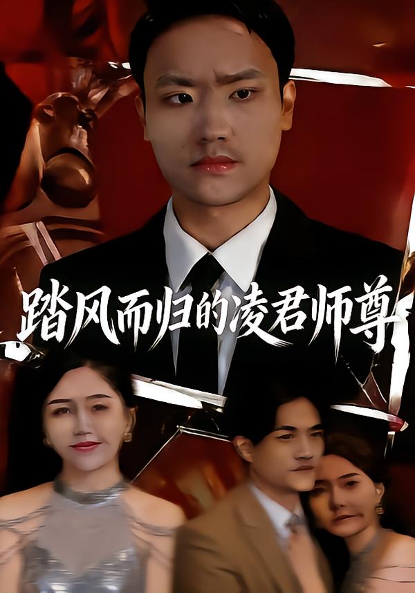 踏风而归的凌君师尊