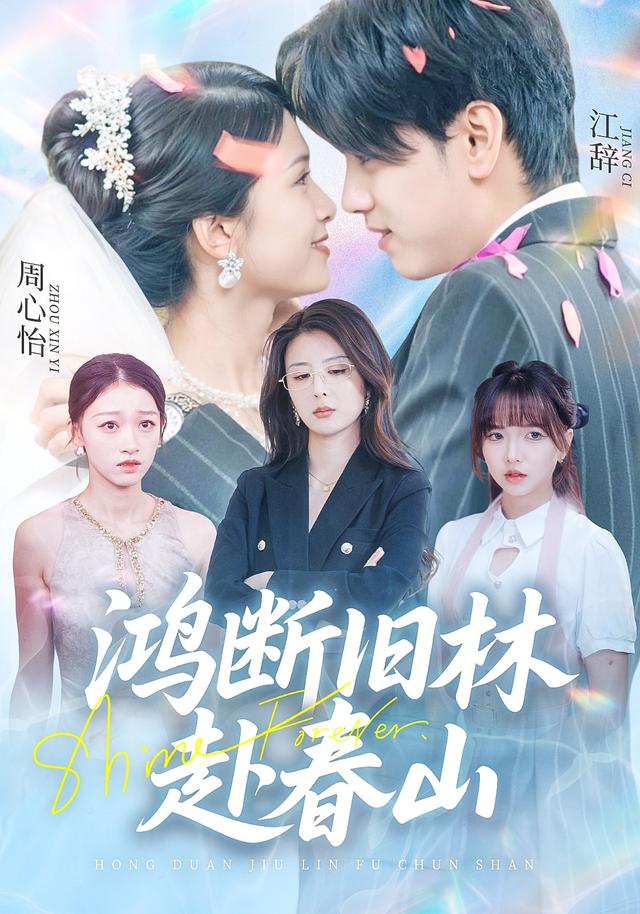 鸿断旧林赴春山封面图