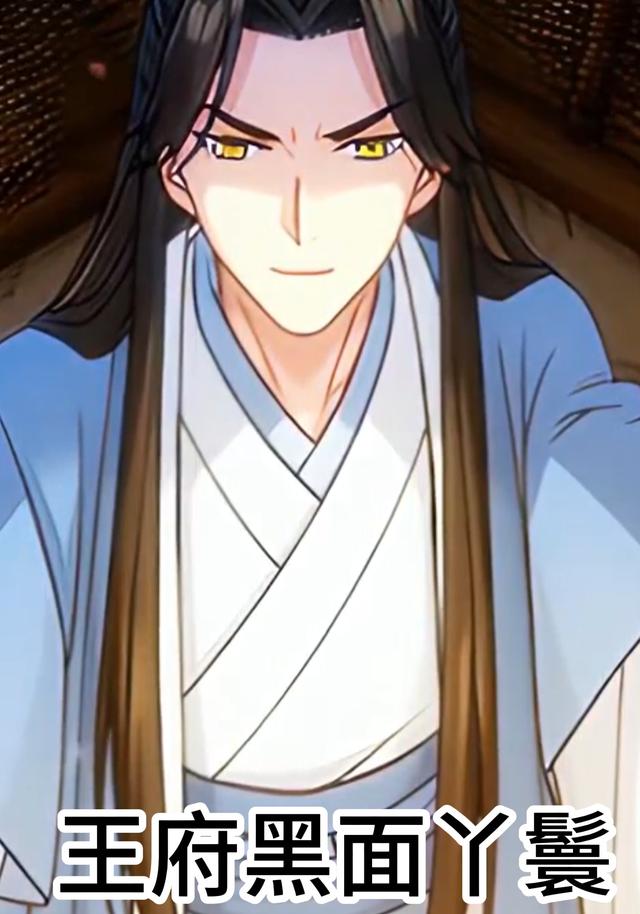 王府黑面丫鬟封面图