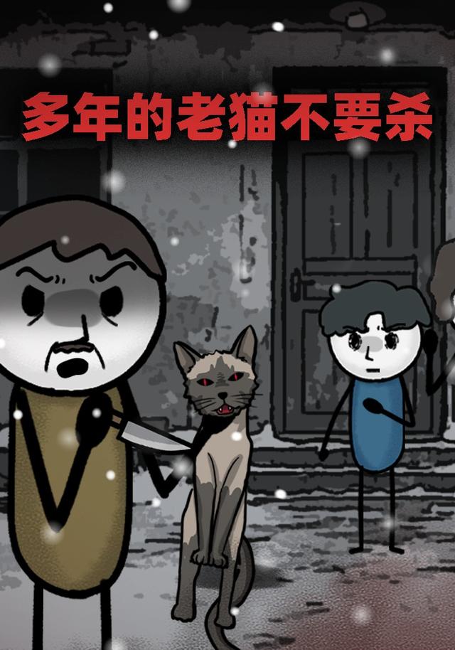 多年的老猫不要杀封面图