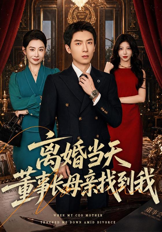 《离婚当天，董事长母亲找到我》作品海报