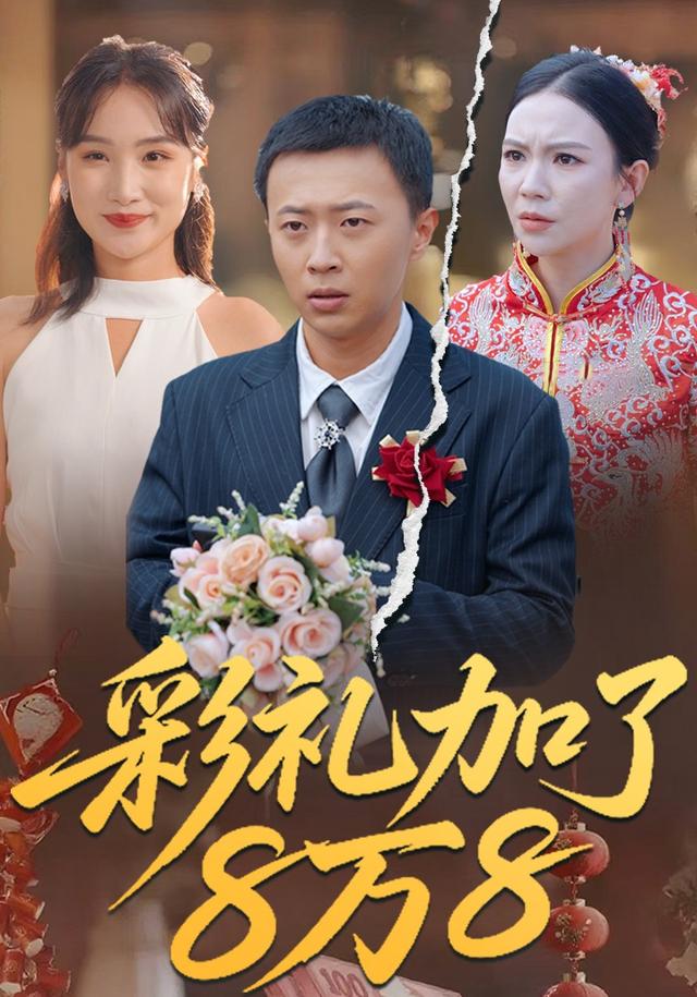 彩礼加了8万8封面图