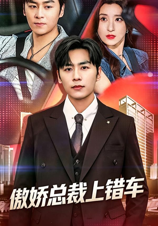 傲娇总裁上错车