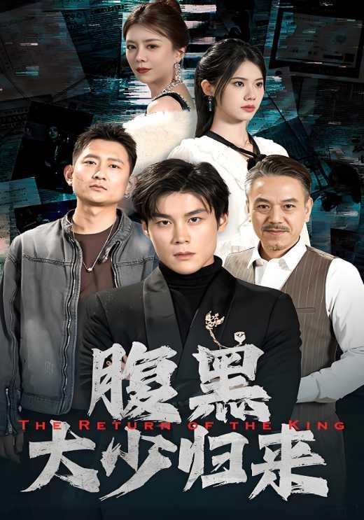 腹黑大少归来封面图