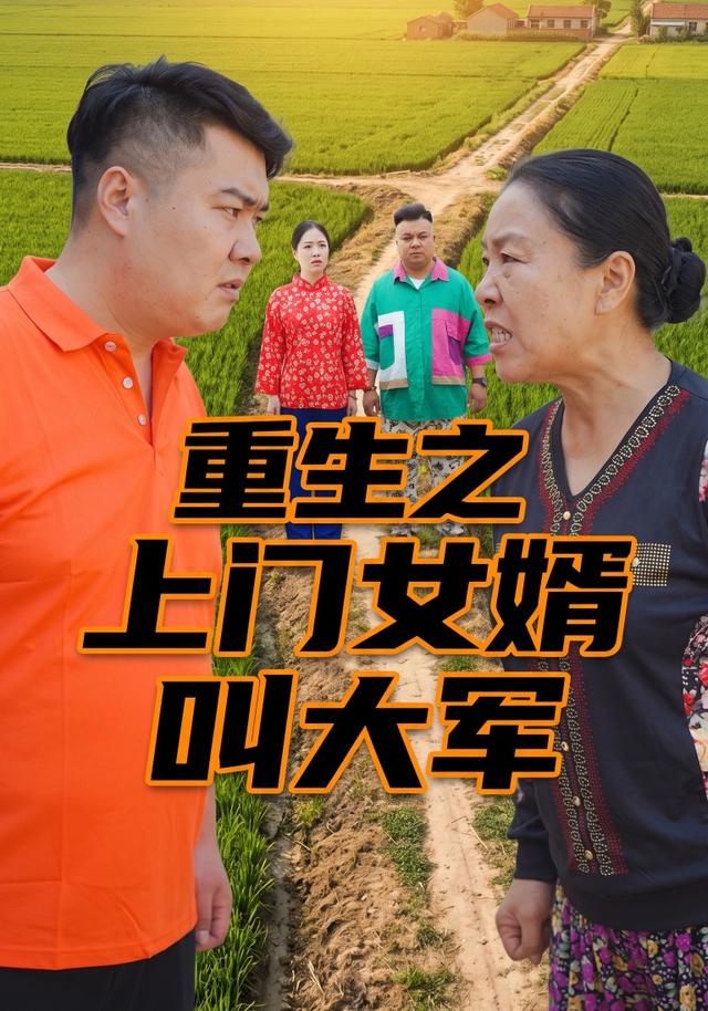 重生之上门女婿叫大军