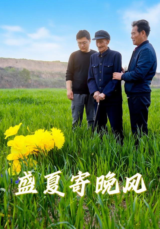 盛夏寄晚风