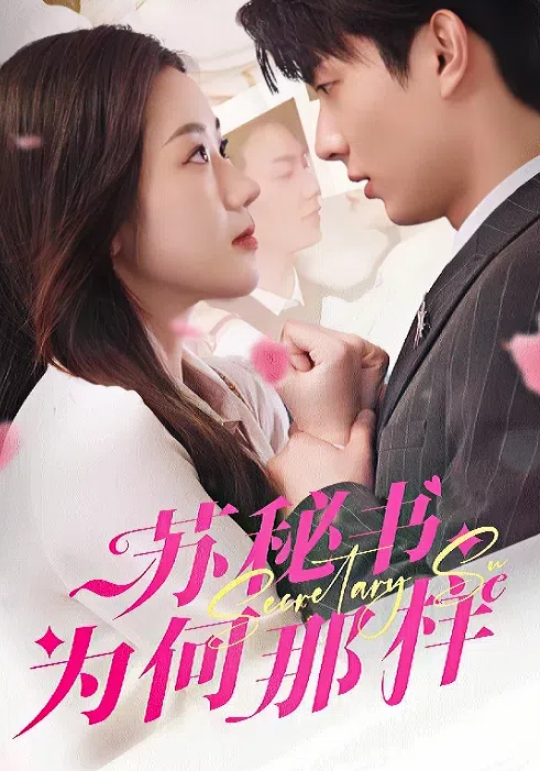 苏秘书为何那样封面图