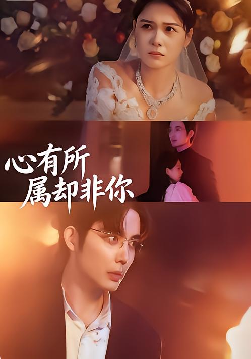 心有所属，却非你