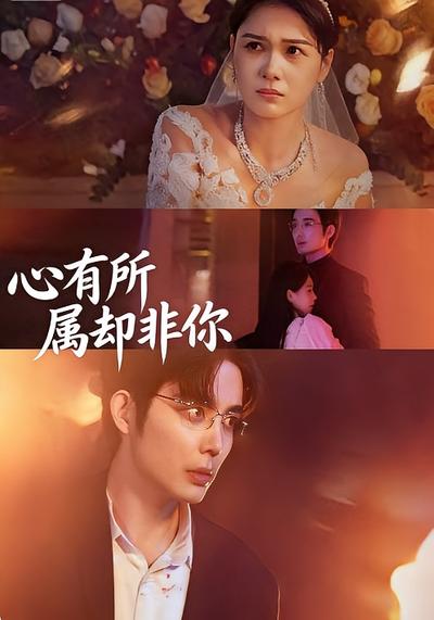 心有所属，却非你