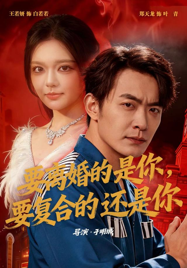 要离婚的是你，要复合的还是你封面