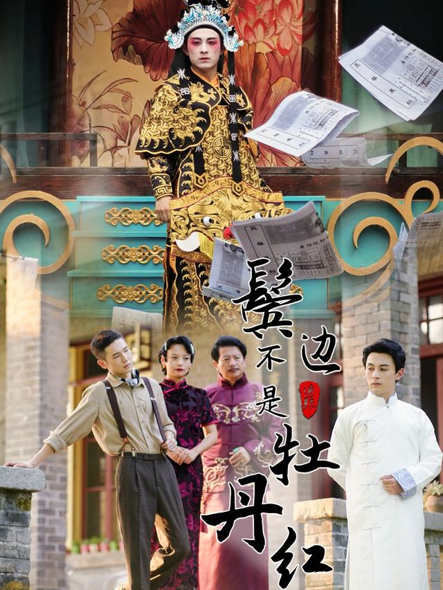 鬓边不是牡丹红封面图