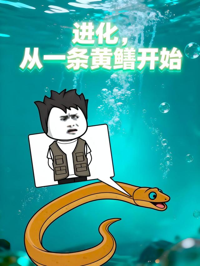 进化，从一条黄鳝开始
