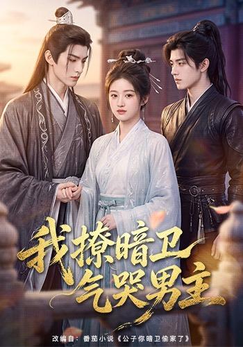 我撩暗卫气哭男主 cover