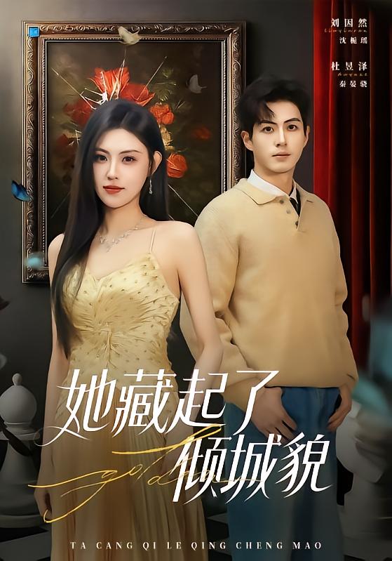 她藏起了倾城貌