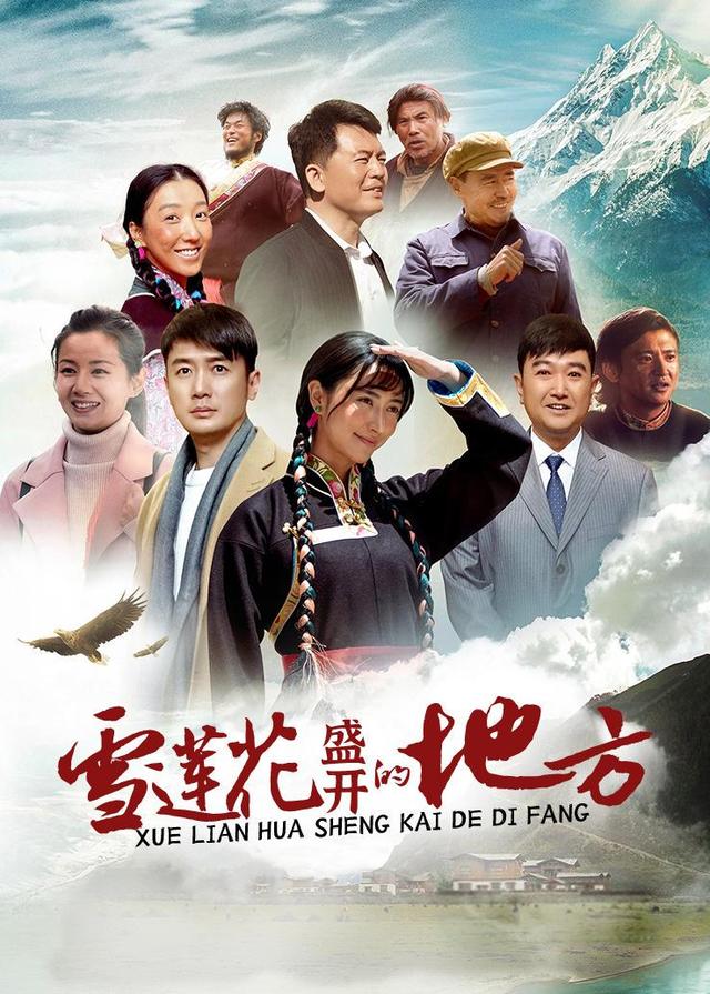 雪莲花盛开的地方封面图