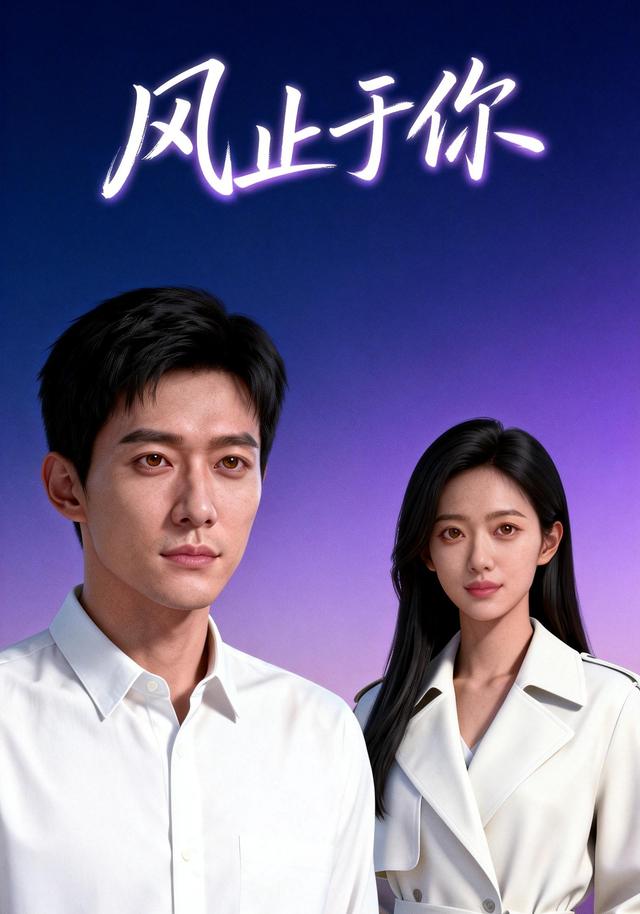 风止于你封面图