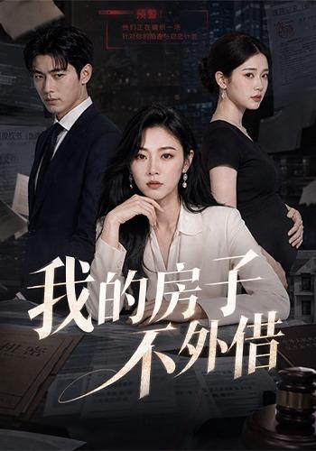 我的房子不外借