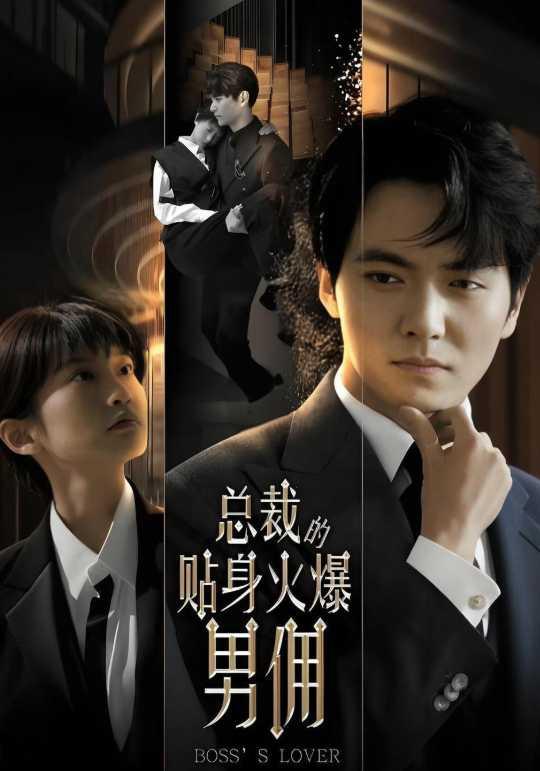 总裁的贴身火爆男佣