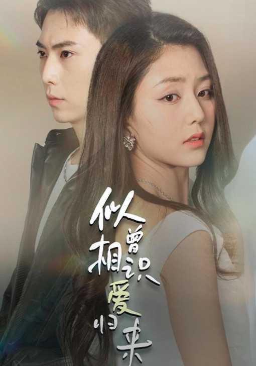 似曾相识爱归来封面图