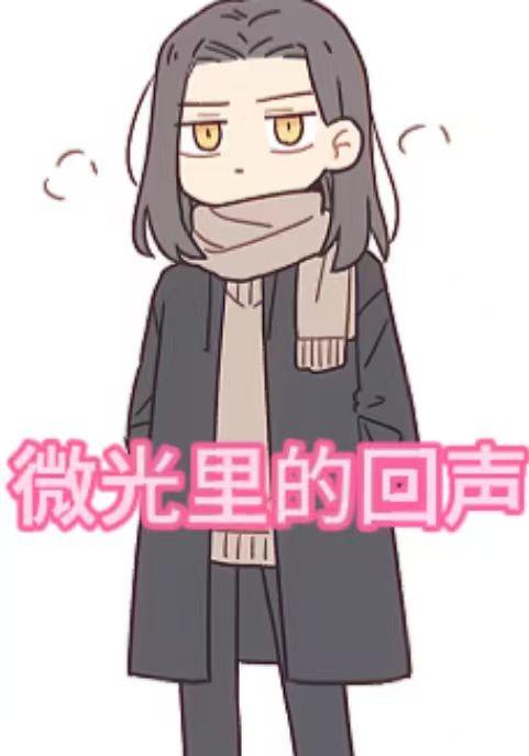 微光里的回声封面图