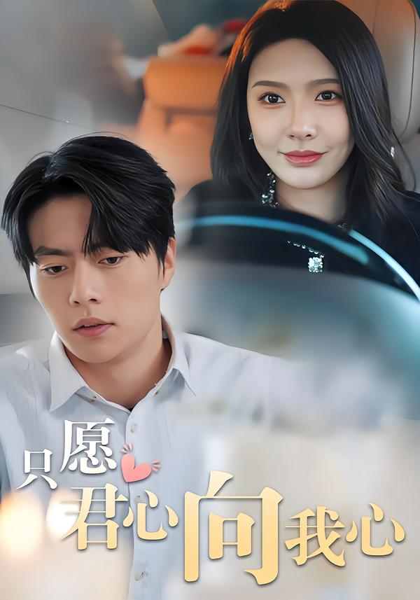 只愿君心向我心