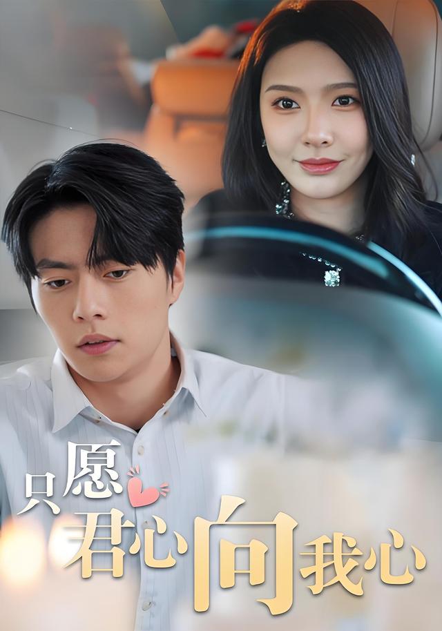 只愿君心向我心封面图