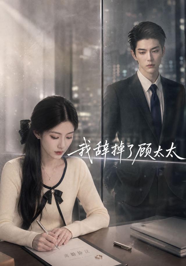 我辞掉了顾太太 cover