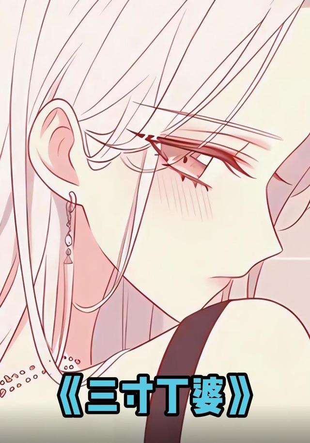 三寸丁婆封面图