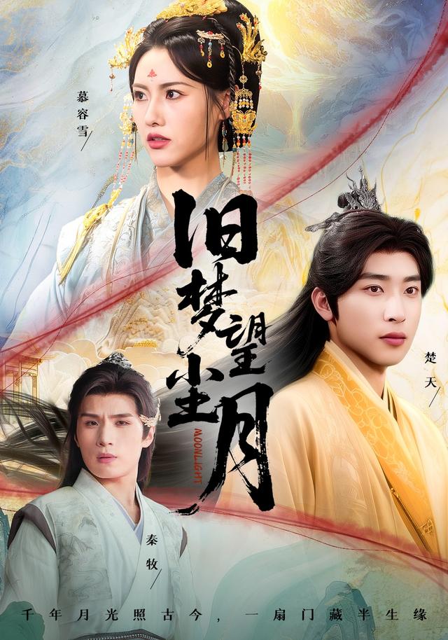 旧梦望尘月封面图