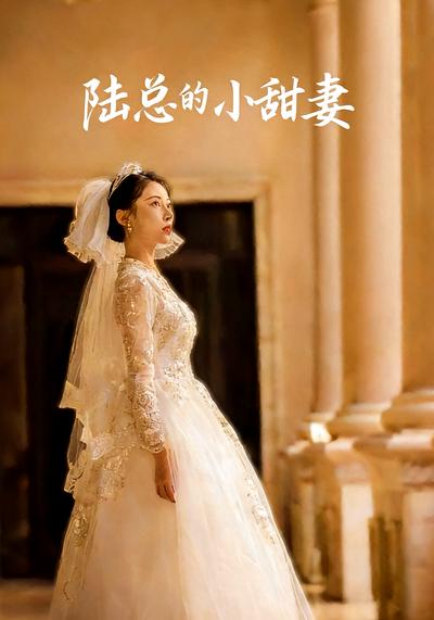 陆总的小甜妻封面图