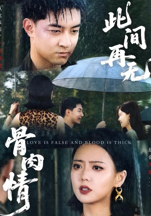 此间再无骨肉情封面图