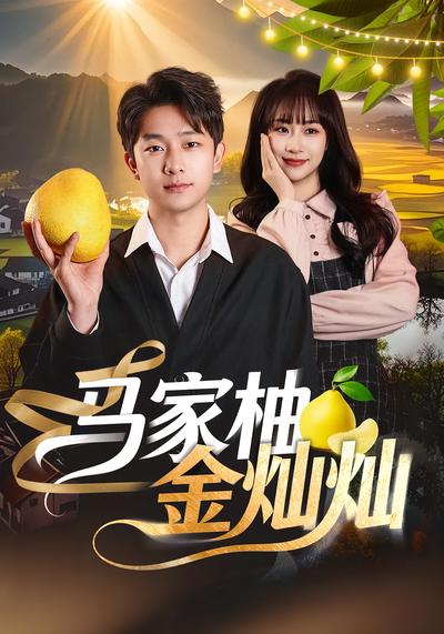 马家柚金灿灿封面图