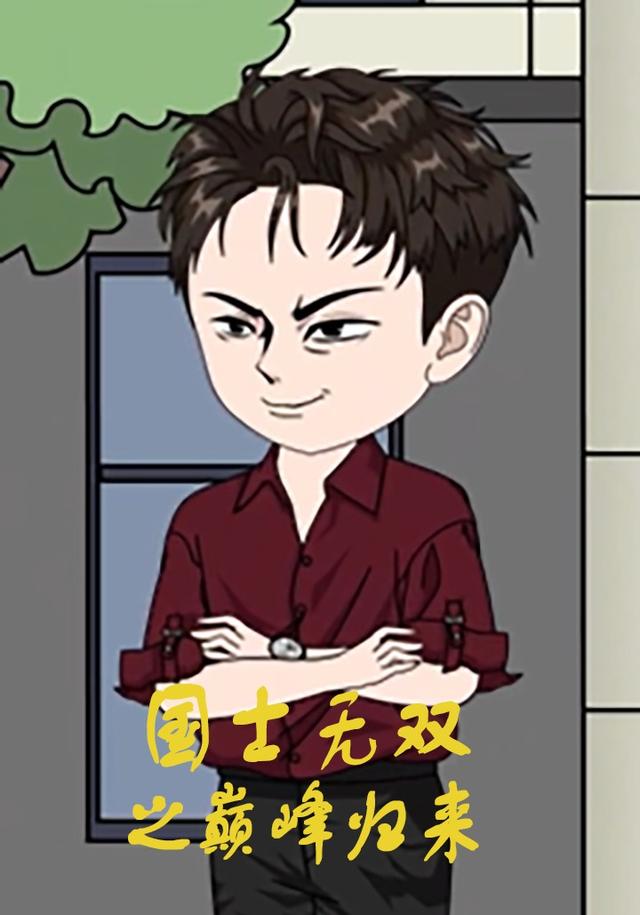 国士无双之巅峰归来封面图