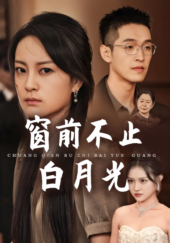 窗前不止白月光封面图