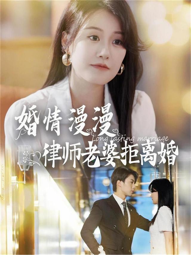 婚情漫漫：律师老婆拒离婚封面图