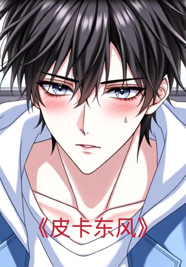 皮卡东风