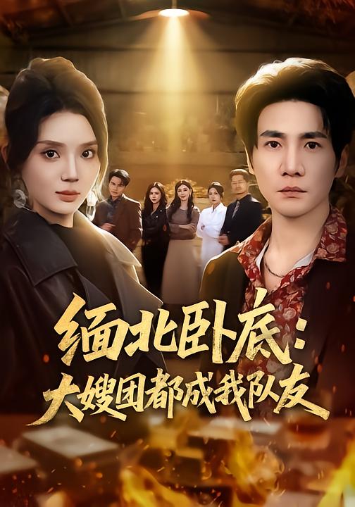 缅北卧底：大嫂团都成我队友