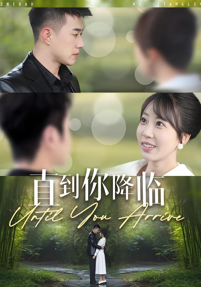 直到你降临封面图