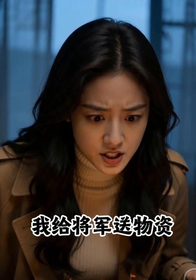 我给将军送物资 cover