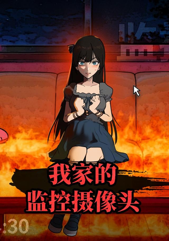 我家的监控摄像头封面图