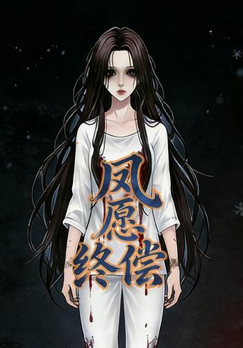 凤愿终偿封面图