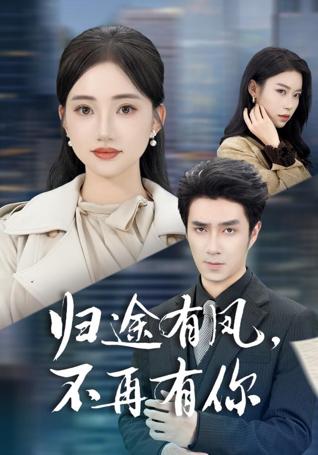 归途有风，不再有你