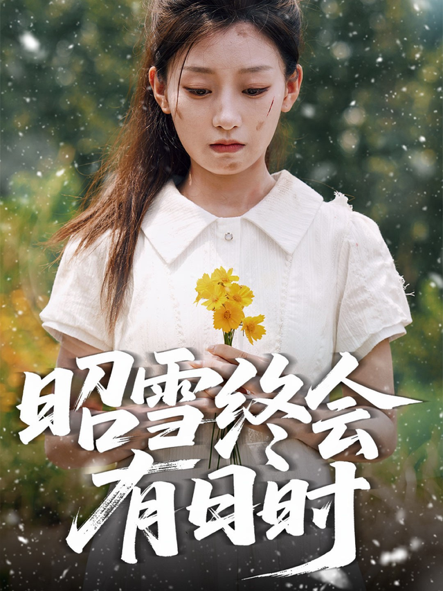 昭雪终会有日时封面图