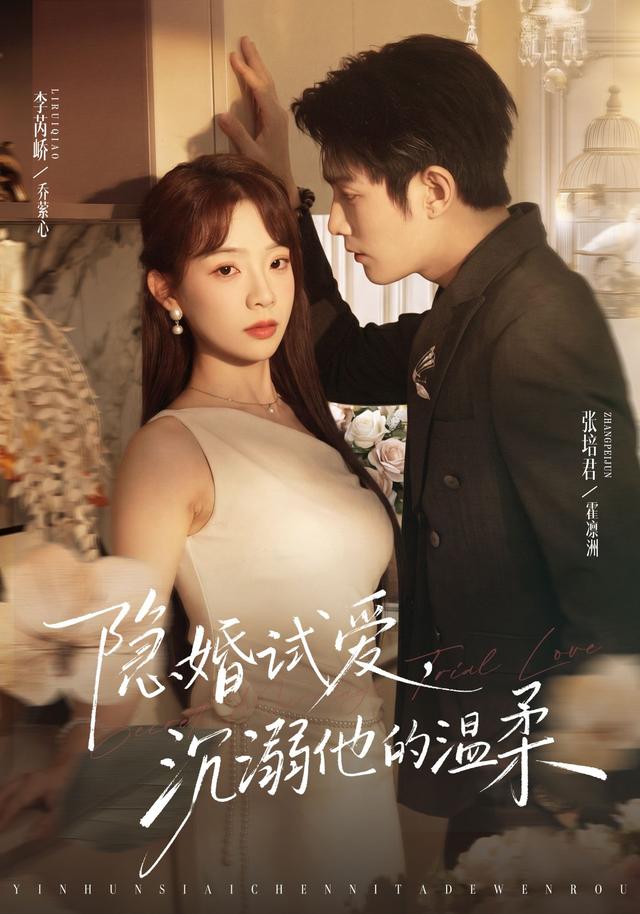隐婚试爱，沉溺他的温柔